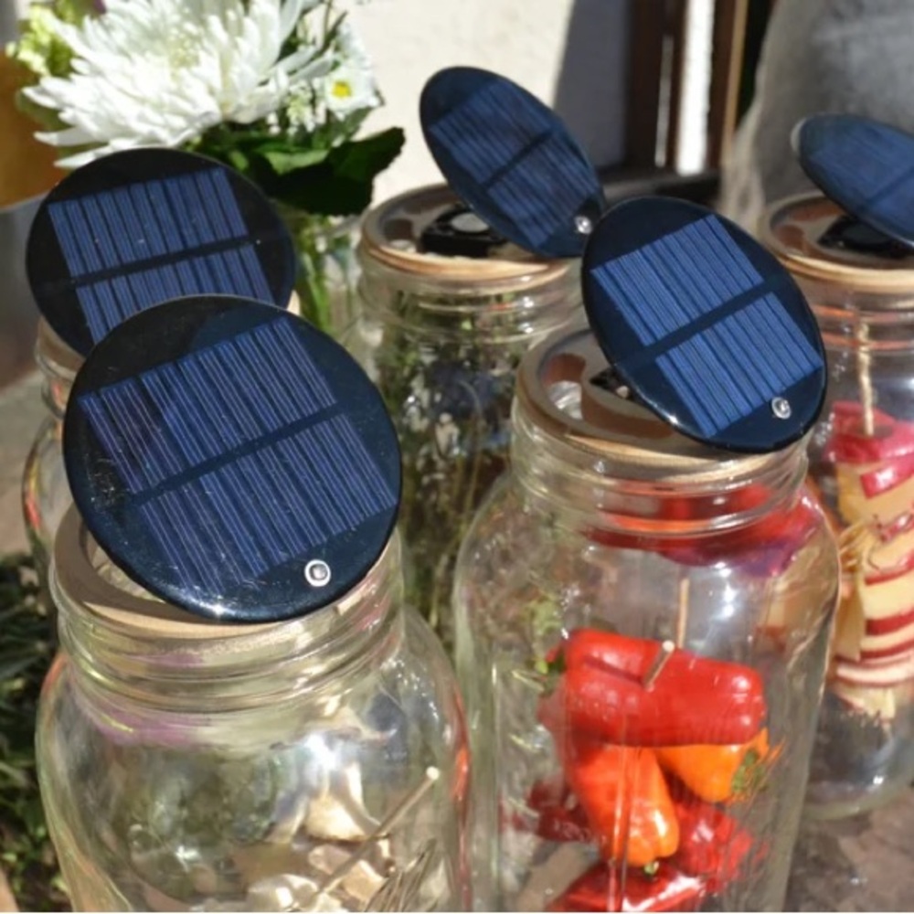 Solar dehydrator/ dryceratop solar food dehydrator